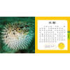 海洋圖鑑小百科