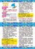 go smart趣桌遊：數字顏色大亂鬥