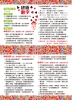 go smart趣桌遊：終極數字