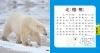 5Q益智教具：動物探險隊
