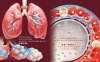 心臟噗通噗通：血液的身體大冒險