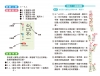 go smart趣桌遊：成語接龍王