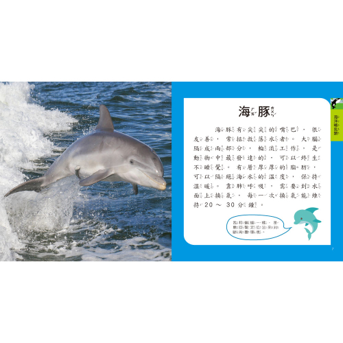 海洋圖鑑小百科
