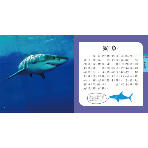 海洋圖鑑小百科