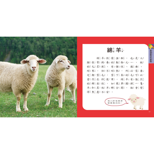 動物圖鑑小百科