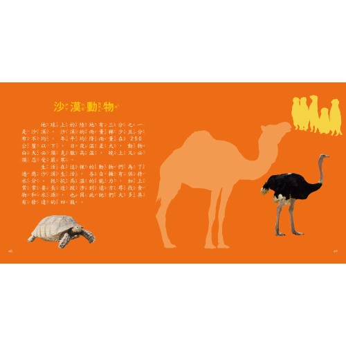 動物圖鑑小百科