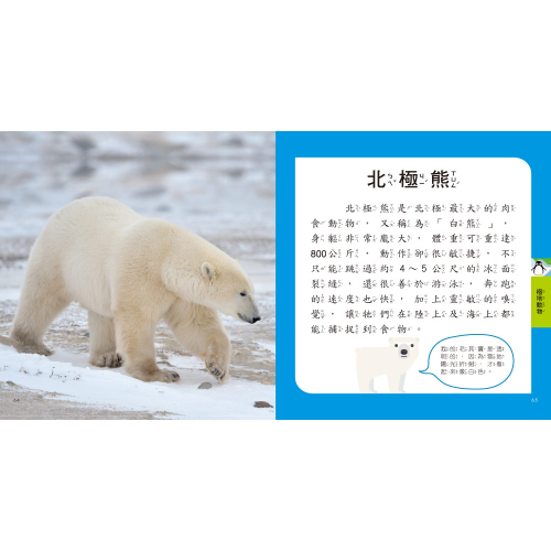 動物圖鑑小百科