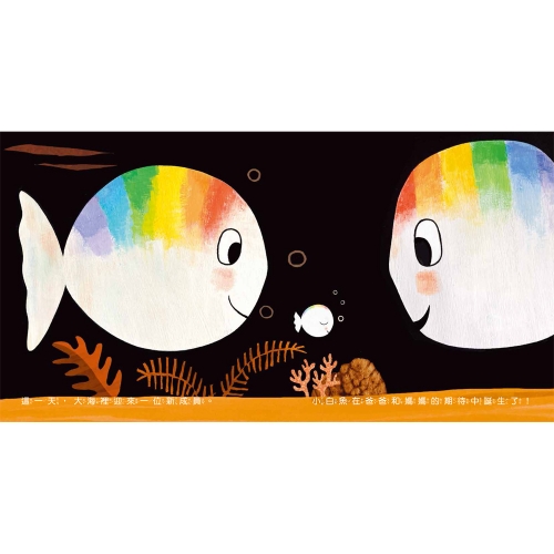 小白魚的誕生（感知探索）