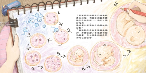 媽媽，我是怎麼來的？
