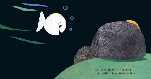 小白魚玩躲貓貓