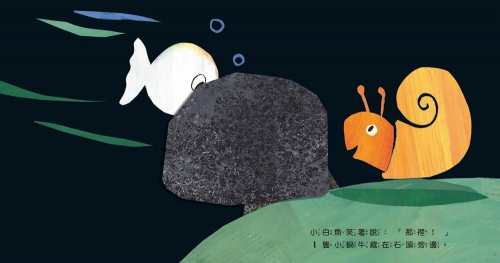 小白魚玩躲貓貓