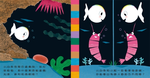 小白魚的好奇心（感官認知）