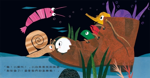 小白魚的好奇心（感官認知）