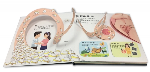 性教育啟蒙：身體的祕密立體遊戲書