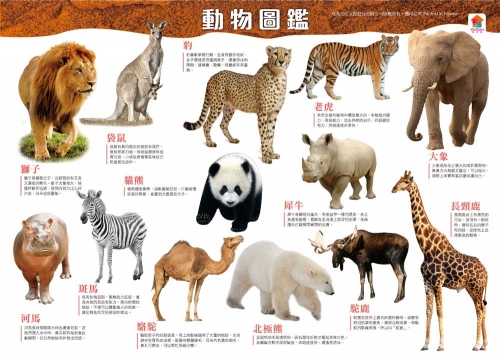 動物冒險記