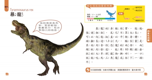 5Q益智教具：恐龍探險隊