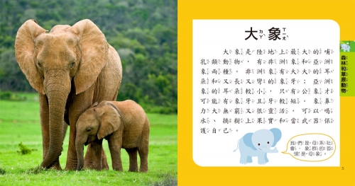 5Q益智教具：動物探險隊