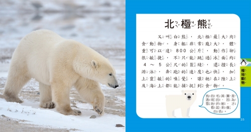 5Q益智教具：動物探險隊