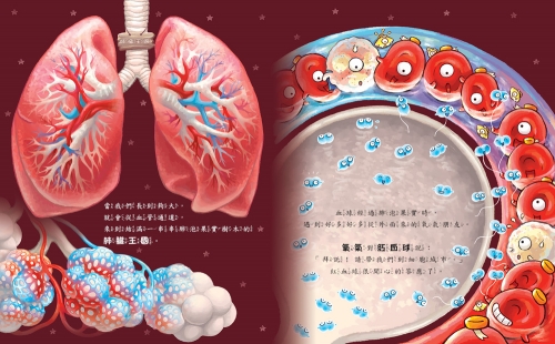 心臟噗通噗通：血液的身體大冒險