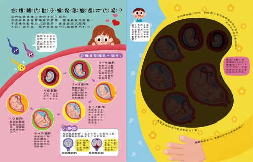 探照燈找一找：透視身體大解密NEW